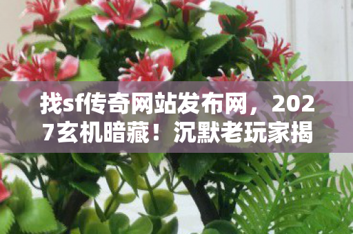 找sf传奇网站发布网,2027玄机暗藏!沉默老玩家揭秘,这游戏究竟给了我什么? 找sf传奇网站发布网,2027玄机暗藏!沉默老玩家揭秘,这游戏究竟给了我什么?