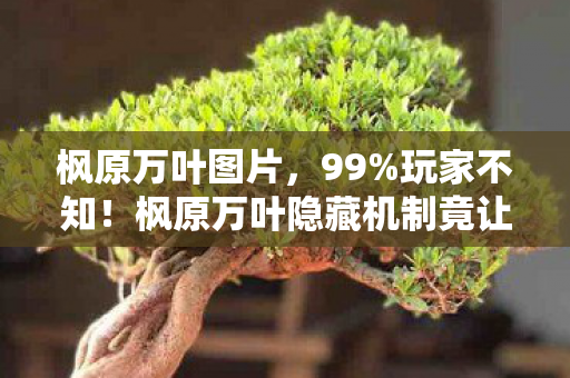 枫原万叶图片，99%玩家不知！枫原万叶隐藏机制竟让输出暴涨300%？真相颠覆认知！