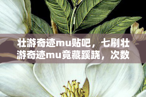 壮游奇迹mu贴吧,七刷壮游奇迹mu竟藏蹊跷,次数背后真相让我后背发凉! 壮游奇迹mu贴吧,七刷壮游奇迹mu竟藏蹊跷,次数背后真相让我后背发凉!