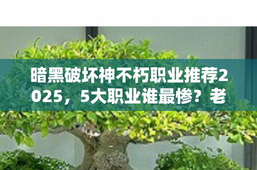 暗黑破坏神不朽职业推荐2025,5大职业谁最惨?老玩家含泪揭秘,我的本命竟成时代眼泪! 暗黑破坏神不朽职业推荐2025,5大职业谁最惨?老玩家含泪揭秘,我的本命竟成时代眼泪!