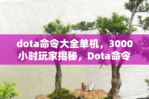 dota命令大全单机,3000小时玩家揭秘,Dota命令背后,谁在主机端默默心酸? dota命令大全单机,3000小时玩家揭秘,Dota命令背后,谁在主机端默默心酸?