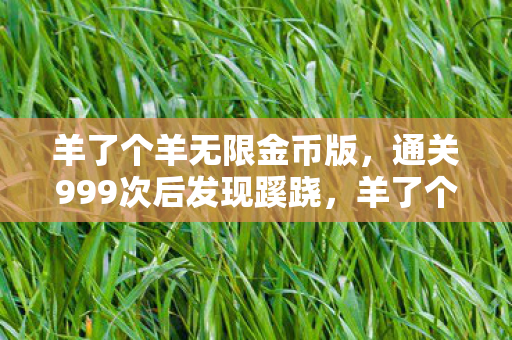 羊了个羊无限金币版,通关999次后发现蹊跷,羊了个羊背后真相让我后背发凉 羊了个羊无限金币版,通关999次后发现蹊跷,羊了个羊背后真相让我后背发凉