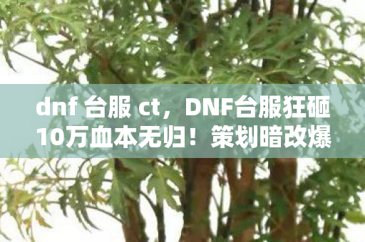 dnf 台服 ct，DNF台服狂砸10万血本无归！策划暗改爆率，玩家集体吓一跳的隐情