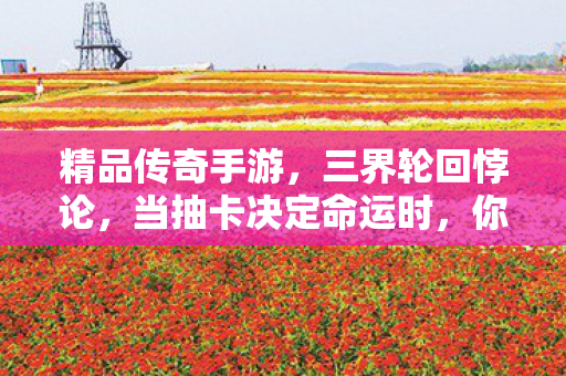 精品传奇手游,三界轮回悖论,当抽卡决定命运时,你的灵魂究竟属于谁? 精品传奇手游,三界轮回悖论,当抽卡决定命运时,你的灵魂究竟属于谁?