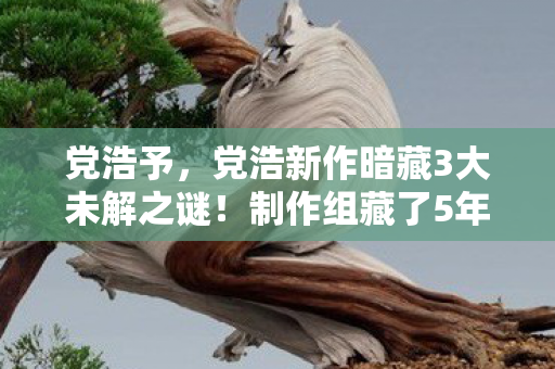 党浩予,党浩新作暗藏3大未解之谜!制作组藏了5年的真相让百万玩家破防 党浩予,党浩新作暗藏3大未解之谜!制作组藏了5年的真相让百万玩家破防