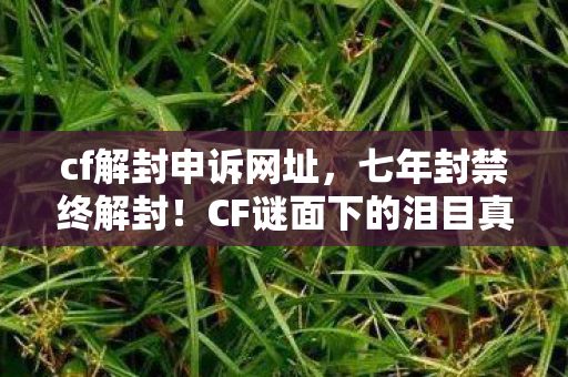 cf解封申诉网址，七年封禁终解封！CF谜面下的泪目真相，百万账号的死亡倒计时