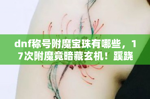 dnf称号附魔宝珠有哪些,17次附魔竟暗藏玄机!蹊跷操作后,资深玩家后背发凉 dnf称号附魔宝珠有哪些,17次附魔竟暗藏玄机!蹊跷操作后,资深玩家后背发凉
