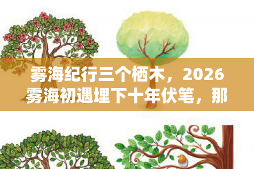 雾海纪行三个栖木,2026雾海初遇埋下十年伏笔,那些说好再见的人让我鼻子一酸 雾海纪行三个栖木,2026雾海初遇埋下十年伏笔,那些说好再见的人让我鼻子一酸