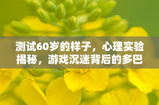 测试60岁的样子,心理实验揭秘,游戏沉迷背后的多巴胺陷阱,细思极恐! 测试60岁的样子,心理实验揭秘,游戏沉迷背后的多巴胺陷阱,细思极恐!