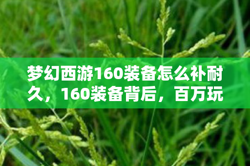 梦幻西游160装备怎么补耐久，160装备背后，百万玩家谁懂？游戏人生里的心酸与坚持