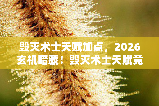 毁灭术士天赋加点，2026玄机暗藏！毁灭术士天赋竟藏着沉默的命运密码？