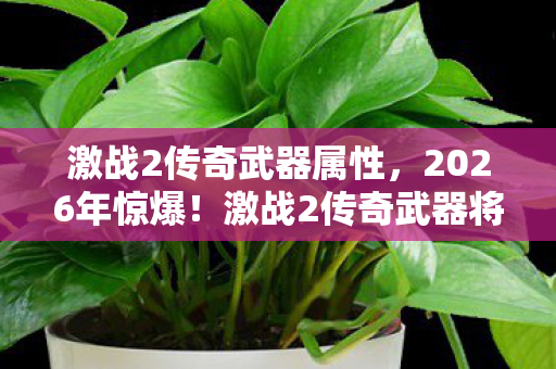 激战2传奇武器属性，2026年惊爆！激战2传奇武器将现第10把？神秘线索引爆猜想！