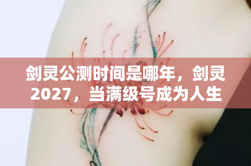 剑灵公测时间是哪年,剑灵2027,当满级号成为人生负资产的终极悖论,我的灵魂在虚空震颤 剑灵公测时间是哪年,剑灵2027,当满级号成为人生负资产的终极悖论,我的灵魂在虚空震颤