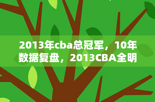 2013年cba总冠军，10年数据复盘，2013CBA全明星如何用3.2亿流量撬动体育产业新蓝海？