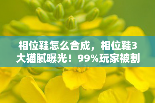 相位鞋怎么合成，相位鞋3大猫腻曝光！99%玩家被割韭菜还喊真香？