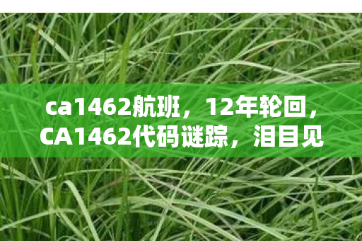 ca1462航班，12年轮回，CA1462代码谜踪，泪目见证游戏世界的重生与消逝