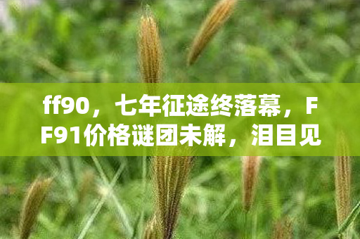 ff90,七年征途终落幕,FF91价格谜团未解,泪目见证游戏终章 ff90,七年征途终落幕,FF91价格谜团未解,泪目见证游戏终章