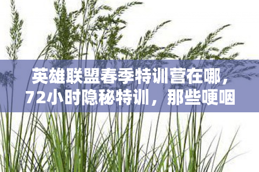 英雄联盟春季特训营在哪,72小时隐秘特训,那些哽咽着按下Alt+F4的深夜 英雄联盟春季特训营在哪,72小时隐秘特训,那些哽咽着按下Alt+F4的深夜