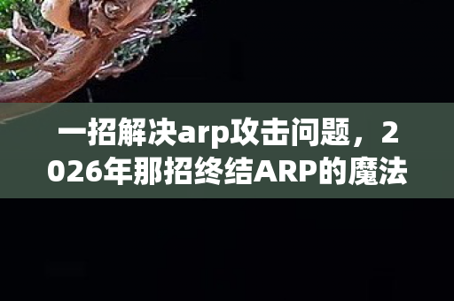 一招解决arp攻击问题,2026年那招终结ARP的魔法,曾并肩的你,如今让我鼻子一酸 一招解决arp攻击问题,2026年那招终结ARP的魔法,曾并肩的你,如今让我鼻子一酸