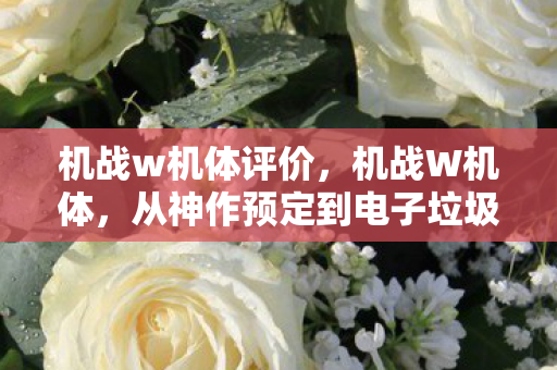 机战w机体评价,机战W机体,从神作预定到电子垃圾的落差真相,笑着笑着就哭了 机战w机体评价,机战W机体,从神作预定到电子垃圾的落差真相,笑着笑着就哭了