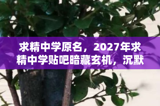 求精中学原名,2027年求精中学贴吧暗藏玄机,沉默背后竟藏着这般游戏人生! 求精中学原名,2027年求精中学贴吧暗藏玄机,沉默背后竟藏着这般游戏人生!
