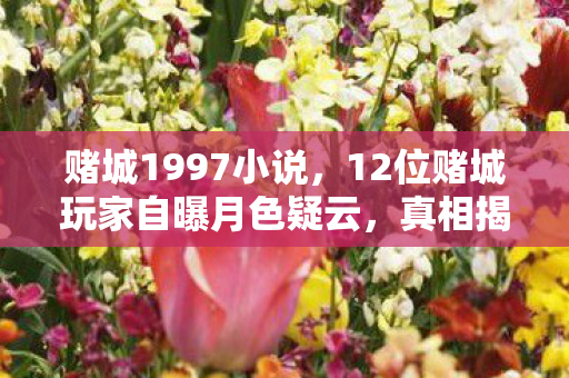 赌城1997小说,12位赌城玩家自曝月色疑云,真相揭晓时我直接绷不住了! 赌城1997小说,12位赌城玩家自曝月色疑云,真相揭晓时我直接绷不住了!