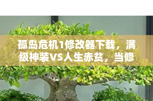 孤岛危机1修改器下载,满级神装VS人生赤贫,当修改器按下存在主义的死亡键 孤岛危机1修改器下载,满级神装VS人生赤贫,当修改器按下存在主义的死亡键