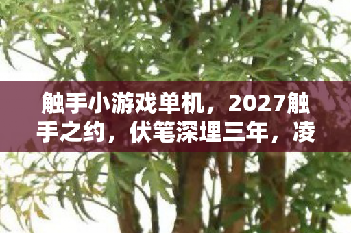触手小游戏单机,2027触手之约,伏笔深埋三年,凌晨三点聊天记录让我鼻子一酸 触手小游戏单机,2027触手之约,伏笔深埋三年,凌晨三点聊天记录让我鼻子一酸