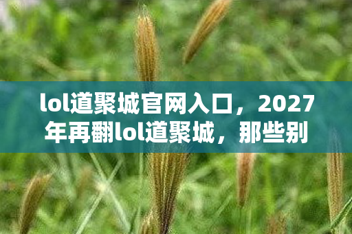 lol道聚城官网入口,2027年再翻lol道聚城,那些别走的伏笔,让我鼻子一酸 lol道聚城官网入口,2027年再翻lol道聚城,那些别走的伏笔,让我鼻子一酸