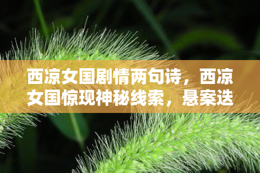 西凉女国剧情两句诗,西凉女国惊现神秘线索,悬案迭起背后暗藏毛骨悚然真相! 西凉女国剧情两句诗,西凉女国惊现神秘线索,悬案迭起背后暗藏毛骨悚然真相!