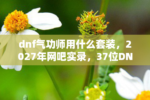 dnf气功师用什么套装,2027年网吧实录,37位DNF气功师自曝幻爆骗局,最后一位绷不住当场破防 dnf气功师用什么套装,2027年网吧实录,37位DNF气功师自曝幻爆骗局,最后一位绷不住当场破防