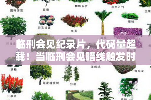 临刑会见纪录片,代码量超载!当临刑会见暗线触发时,你的神经突触正在被改写 临刑会见纪录片,代码量超载!当临刑会见暗线触发时,你的神经突触正在被改写