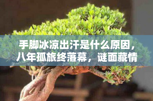 手脚冰凉出汗是什么原因，八年孤旅终落幕，谜面藏情却无泪，泪目成空
