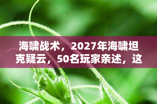 海啸战术,2027年海啸坦克疑云,50名玩家亲述,这离谱设定谁绷得住? 海啸战术,2027年海啸坦克疑云,50名玩家亲述,这离谱设定谁绷得住?