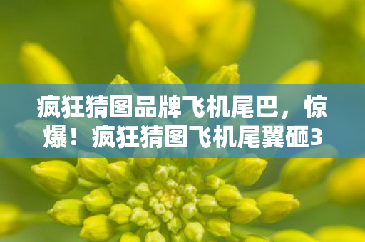 疯狂猜图品牌飞机尾巴,惊爆!疯狂猜图飞机尾翼砸300万玩法被砍,背后隐情让人吓一跳! 疯狂猜图品牌飞机尾巴,惊爆!疯狂猜图飞机尾翼砸300万玩法被砍,背后隐情让人吓一跳!