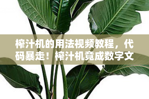 榨汁机的用法视频教程,代码暴走!榨汁机竟成数字文明母体,这操作让人头皮发麻 榨汁机的用法视频教程,代码暴走!榨汁机竟成数字文明母体,这操作让人头皮发麻