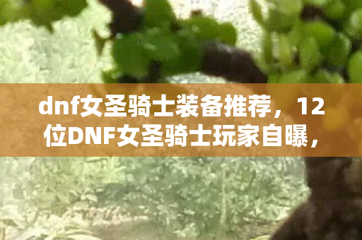 dnf女圣骑士装备推荐,12位DNF女圣骑士玩家自曝,那些圣光背后的疑点,我绷不住了! dnf女圣骑士装备推荐,12位DNF女圣骑士玩家自曝,那些圣光背后的疑点,我绷不住了!