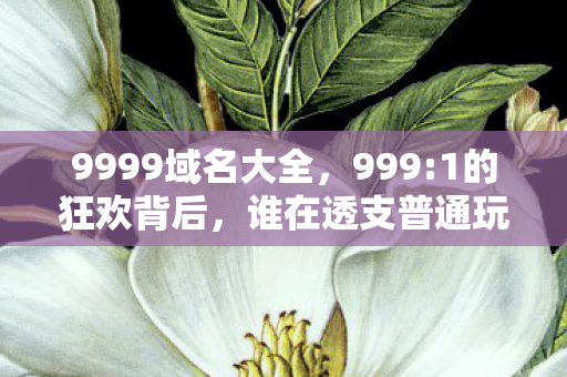 9999域名大全,999:1的狂欢背后,谁在透支普通玩家的最后一丝热血? 9999域名大全,999:1的狂欢背后,谁在透支普通玩家的最后一丝热血?