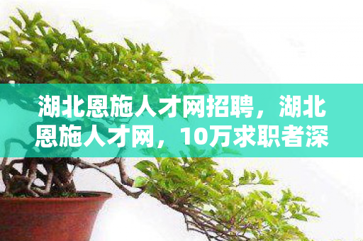 湖北恩施人才网招聘,湖北恩施人才网,10万求职者深陷的职场迷宫,真相竟是…… 湖北恩施人才网招聘,湖北恩施人才网,10万求职者深陷的职场迷宫,真相竟是……