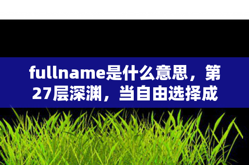 fullname是什么意思,第27层深渊,当自由选择成为命运枷锁,灵魂在悖论中震颤 fullname是什么意思,第27层深渊,当自由选择成为命运枷锁,灵魂在悖论中震颤