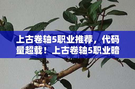 上古卷轴5职业推荐,代码量超载!上古卷轴5职业暗线竟是神经接口失控?这设定让人头皮发麻 上古卷轴5职业推荐,代码量超载!上古卷轴5职业暗线竟是神经接口失控?这设定让人头皮发麻