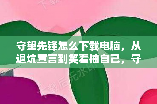 守望先锋怎么下载电脑，从退坑宣言到笑着抽自己，守望先锋下载真相让我笑着哭了