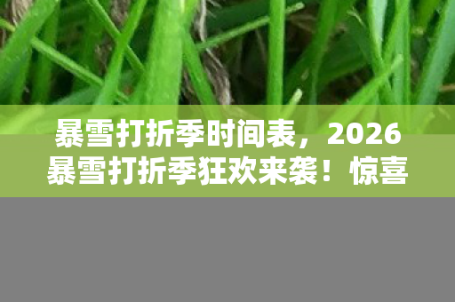 暴雪打折季时间表,2026暴雪打折季狂欢来袭!惊喜折扣背后竟藏惊天秘密? 暴雪打折季时间表,2026暴雪打折季狂欢来袭!惊喜折扣背后竟藏惊天秘密?