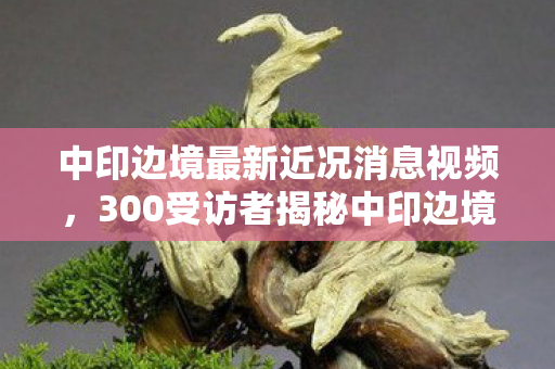 中印边境最新近况消息视频,300受访者揭秘中印边境疑点,真相曝光后网友直呼绷不住! 中印边境最新近况消息视频,300受访者揭秘中印边境疑点,真相曝光后网友直呼绷不住!