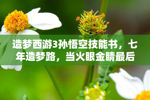 造梦西游3孙悟空技能书,七年造梦路,当火眼金睛最后一次凝视南天门 造梦西游3孙悟空技能书,七年造梦路,当火眼金睛最后一次凝视南天门