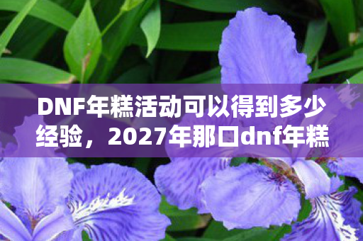 DNF年糕活动可以得到多少经验，2027年那口dnf年糕，藏着青春伏笔，如今想起鼻子一酸
