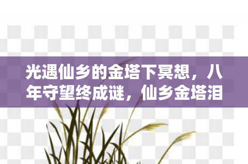 光遇仙乡的金塔下冥想,八年守望终成谜,仙乡金塔泪目落幕时 光遇仙乡的金塔下冥想,八年守望终成谜,仙乡金塔泪目落幕时