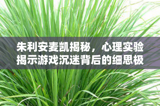 朱利安麦凯揭秘,心理实验揭示游戏沉迷背后的细思极恐真相 朱利安麦凯揭秘,心理实验揭示游戏沉迷背后的细思极恐真相