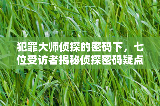 犯罪大师侦探的密码下，七位受访者揭秘侦探密码疑点，真相太绷不住我泪洒网吧！