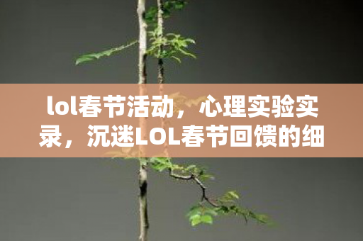 lol春节活动,心理实验实录,沉迷LOL春节回馈的细思极恐自我麻醉剂量表 lol春节活动,心理实验实录,沉迷LOL春节回馈的细思极恐自我麻醉剂量表